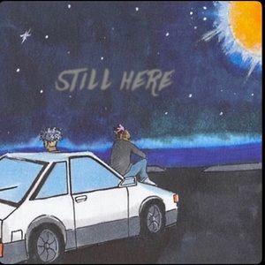 Meet your Posher, Maddy